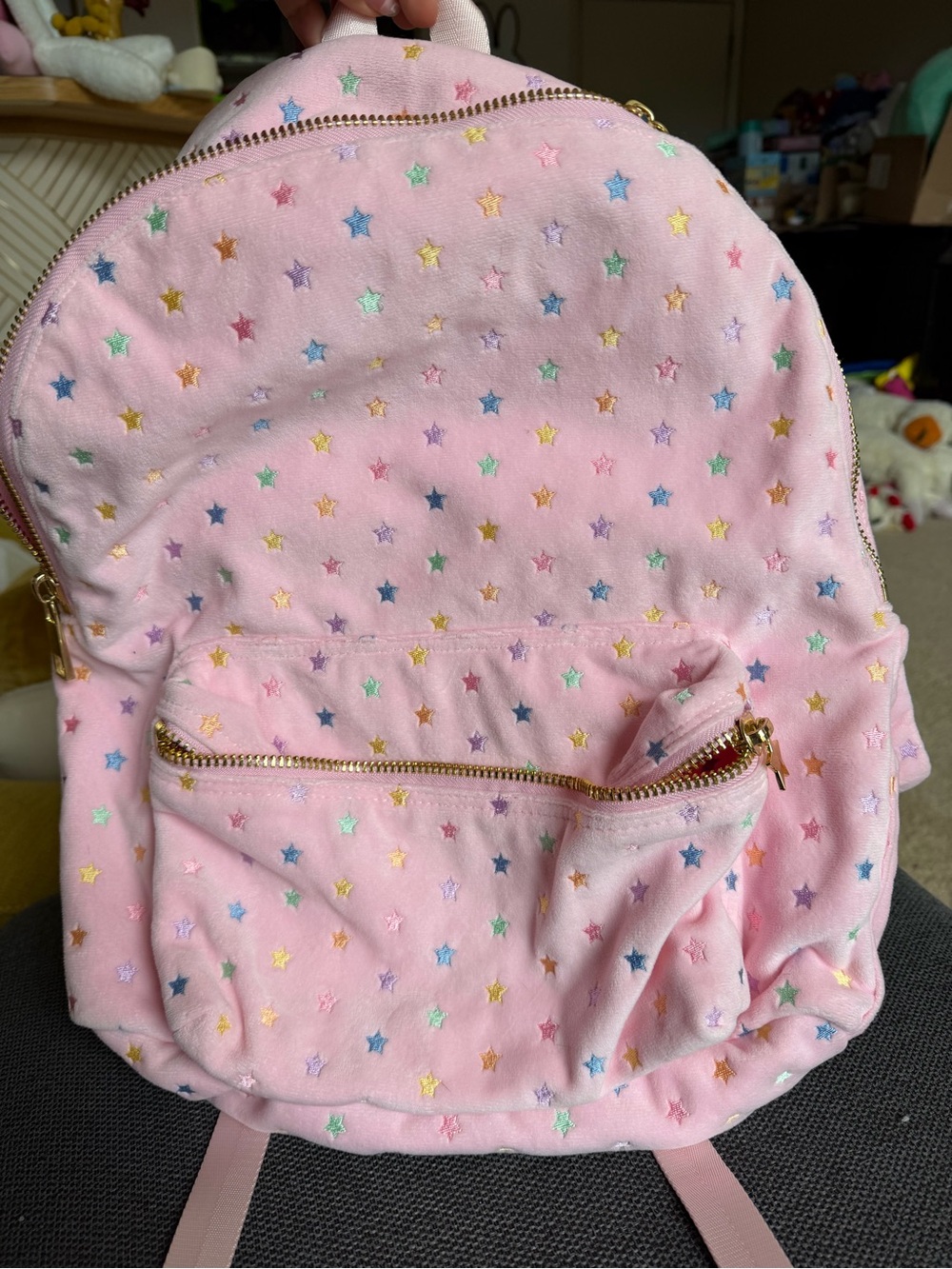 Stoney Clover Lane Park and Beach Backpack